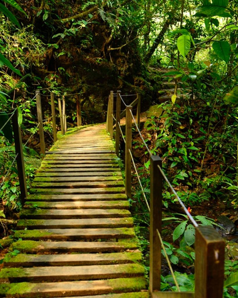 Senado aprueba Ley que declara a La Romana como provincia ecoturística